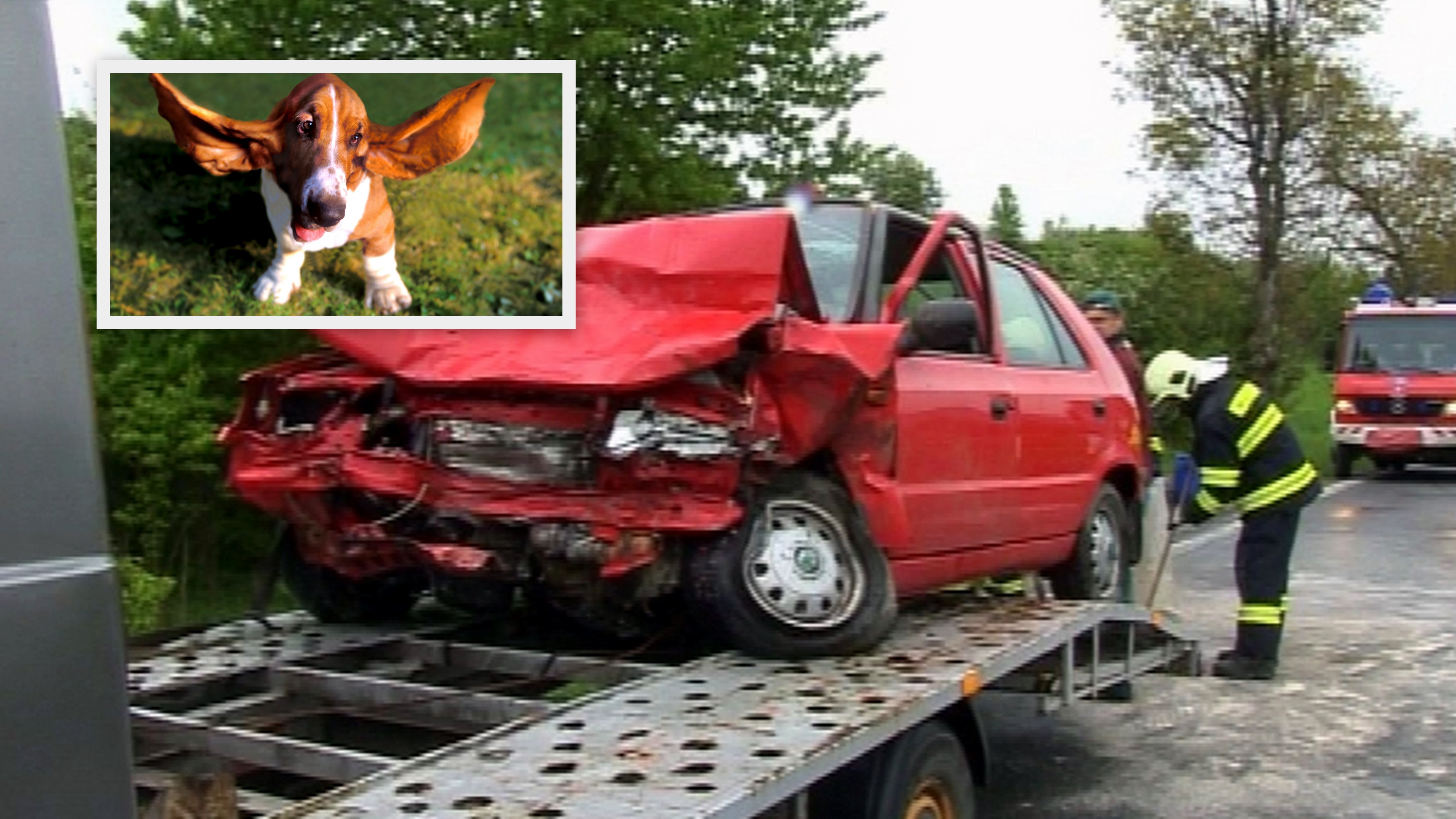 Rožkovany_auto odvážajú_nehoda_pes pobehoval po ceste